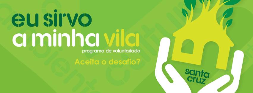 Pub. Voluntariado